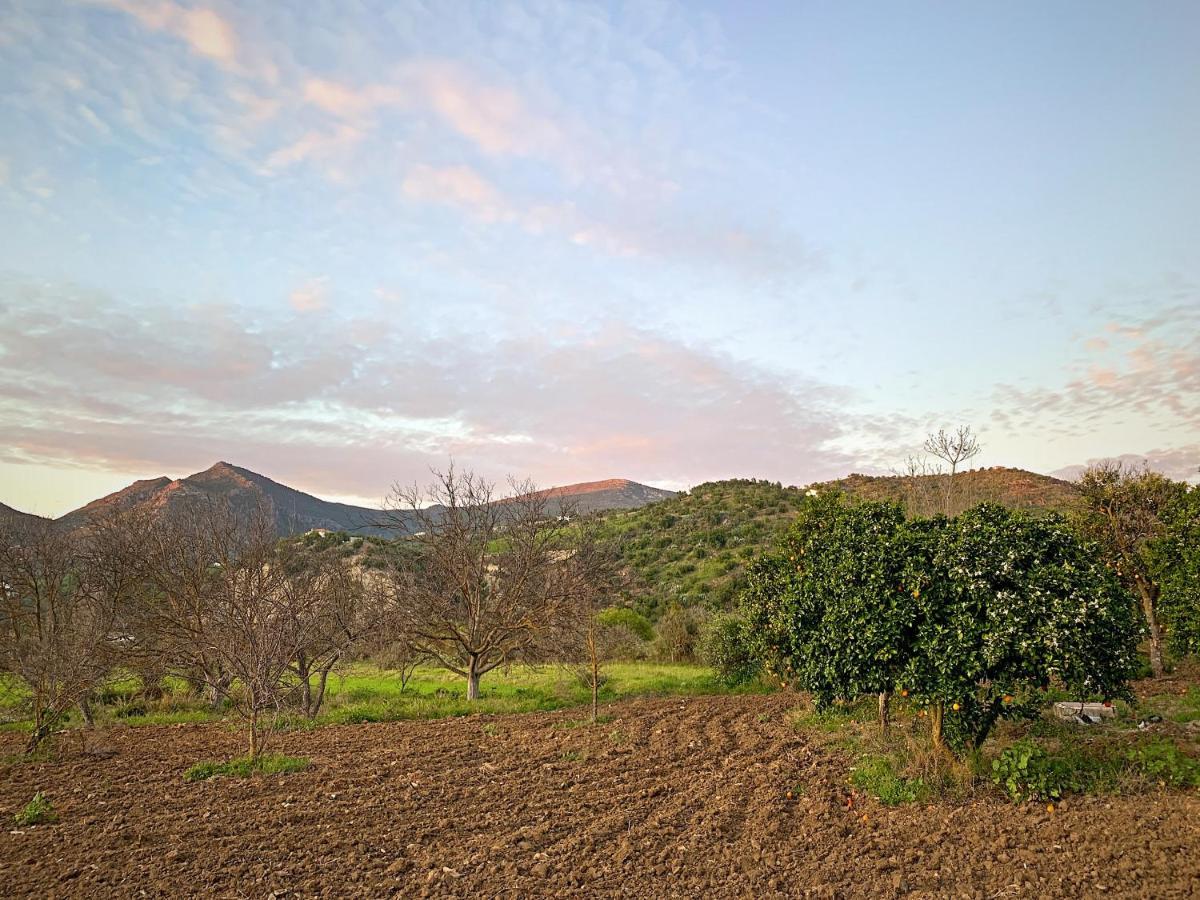Vivelorural Casa Y Piscina En Zahara De La Sierra 빌라 외부 사진