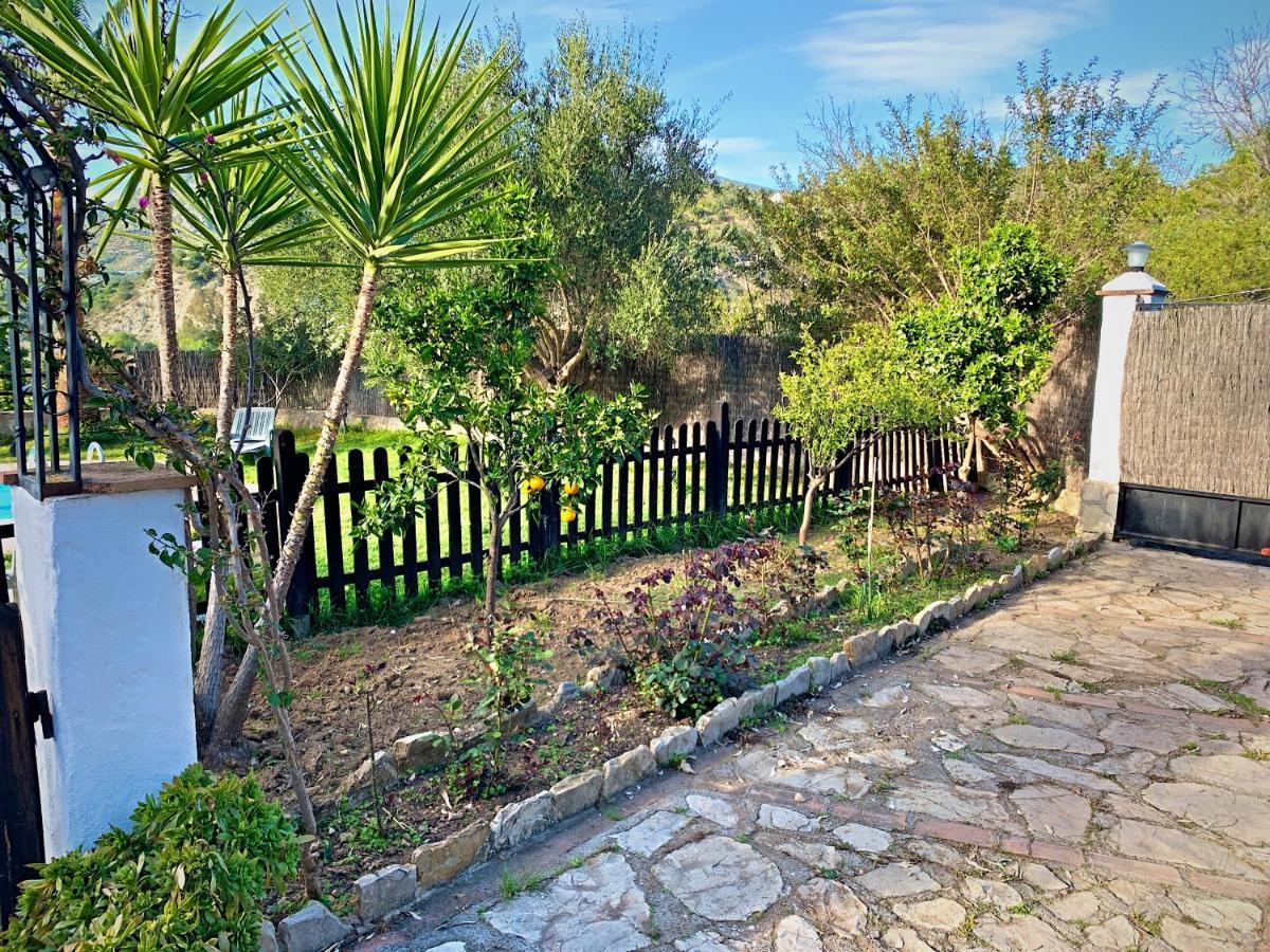 Vivelorural Casa Y Piscina En Zahara De La Sierra 빌라 외부 사진